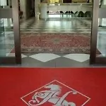 Cavallino