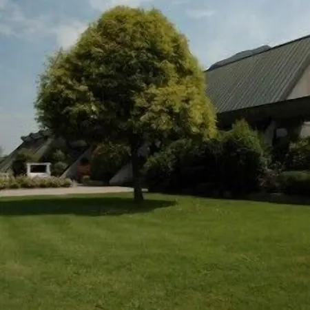 Cavallino Hotel