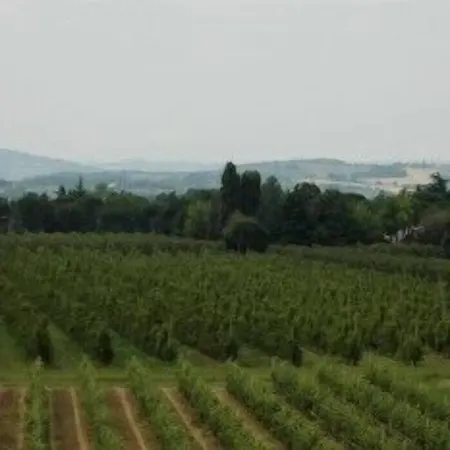 Hotel Cavallino