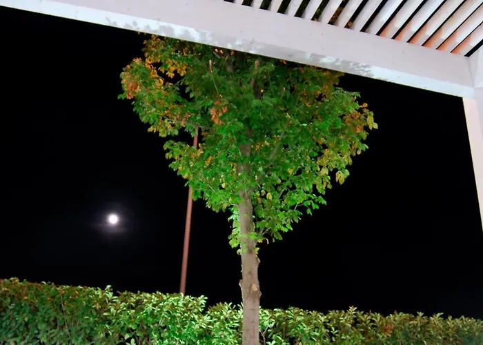 Hotel Cavallino Faenza